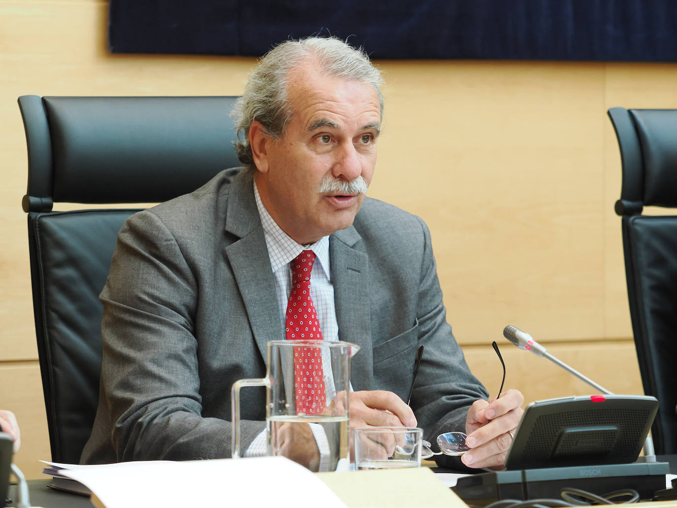 Comparecencia del presidente del Consejo Consultivo