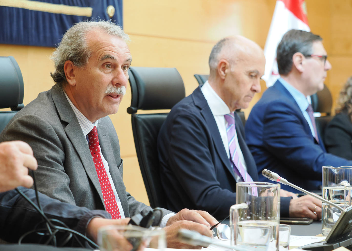 Comparecencia del presidente del Consejo Consultivo