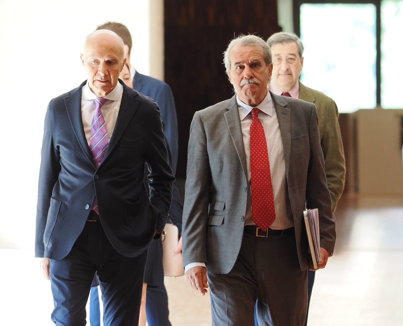 Comparecencia del presidente del Consejo Consultivo