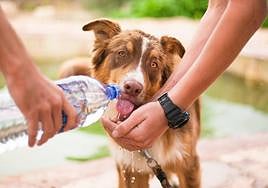 El termómetro sigue subiendo en León este martes.