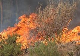 Imagen de archivo de un incendio forestal.