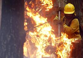 Imagen de un brigadista forestal durante una intervención en la lucha contra los incendios.