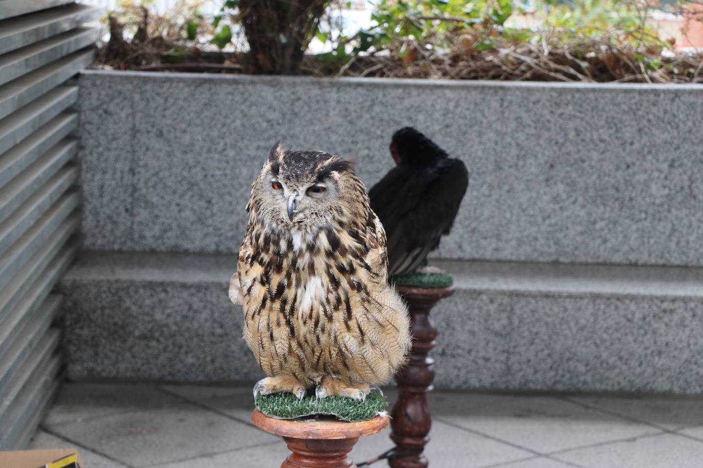 El Corte Inglés vuelve al Medievo