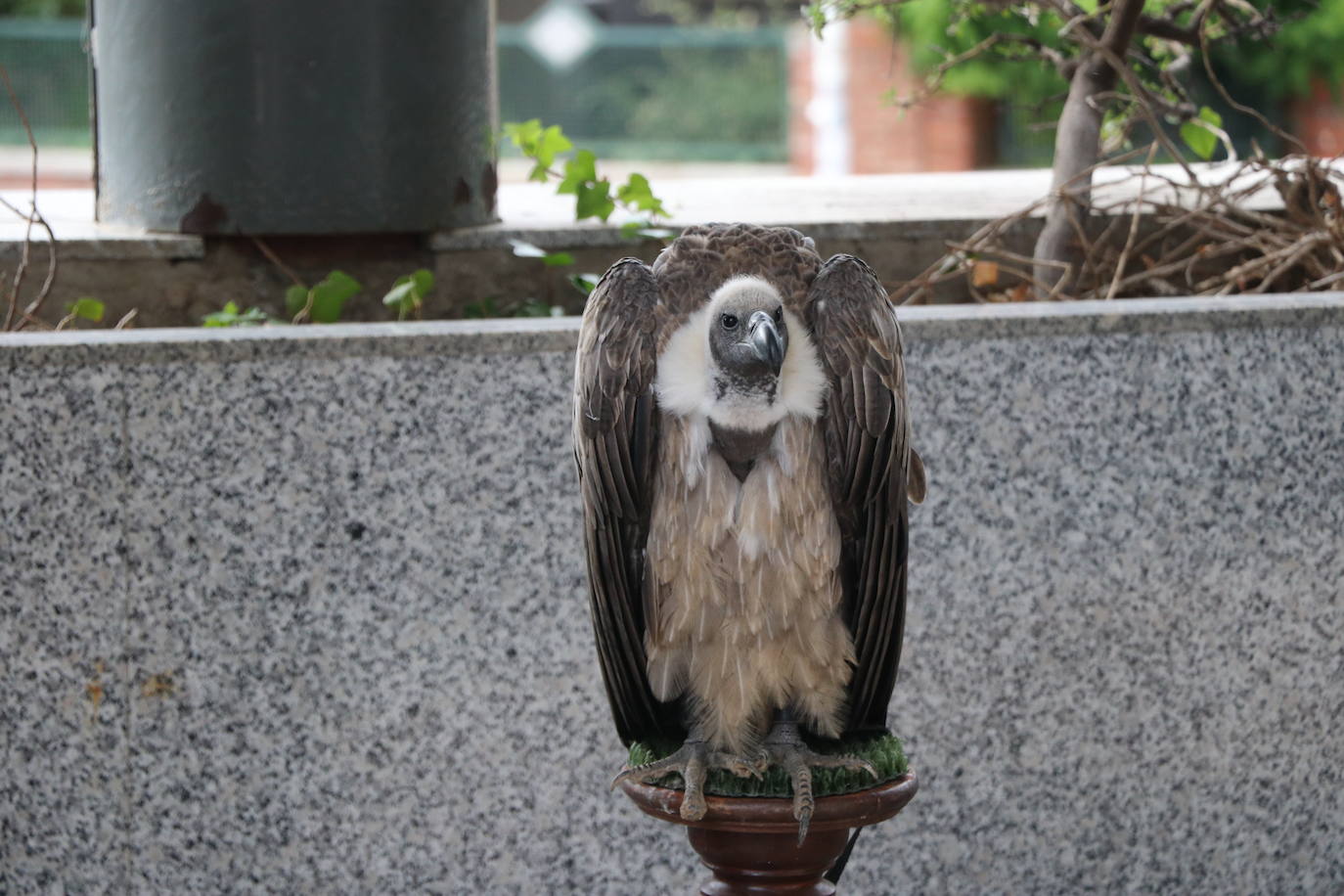 El Corte Inglés vuelve al Medievo