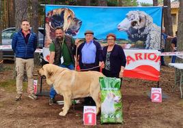 Imagen del vencedor absoluto de la prueba canina celebrada en Camposagrado.