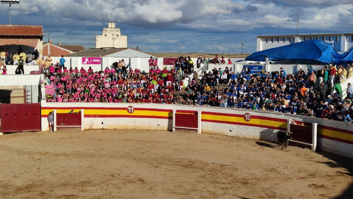 Fin de fiesta en Sahagún