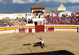 Un joven realiza un recorte a un novillo en la plaza de toros de Sahagún.