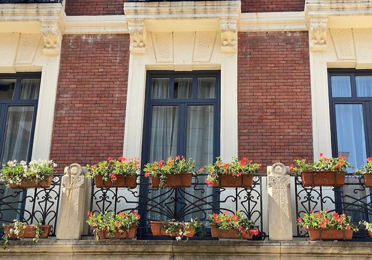 Imagen de los maceteros de geranios instalados en uno de los balcones de la calle Ancha.