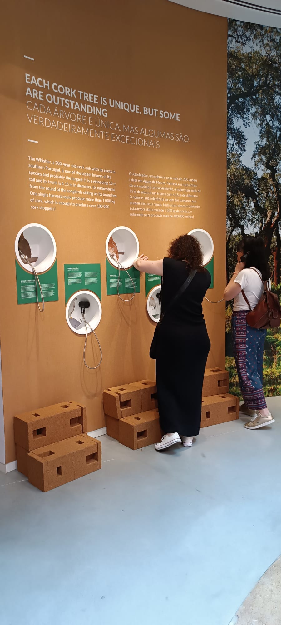 WOW, nuevo distrito cultural de Oporto