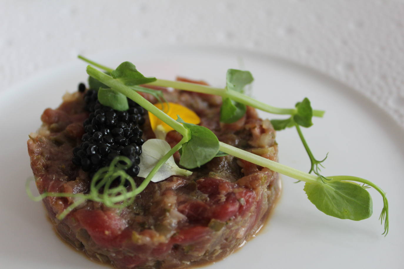 WOW, nuevo distrito cultural de Oporto