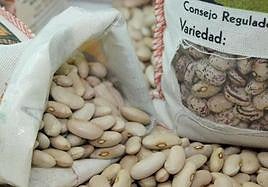 Las cuatro variedades de Alubia de La Bañeza IGP desembarcan en Madrid.