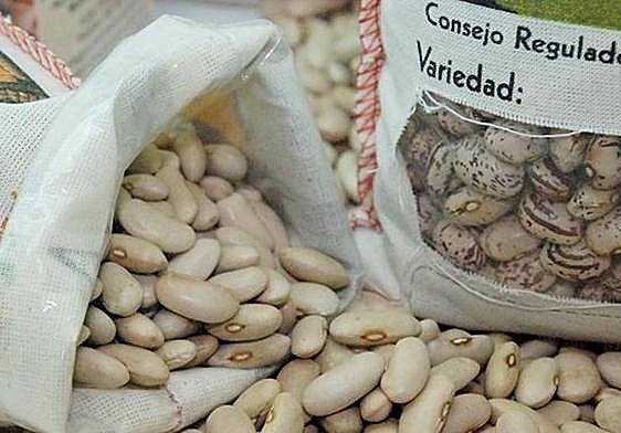 Las cuatro variedades de Alubia de La Bañeza IGP desembarcan en Madrid.