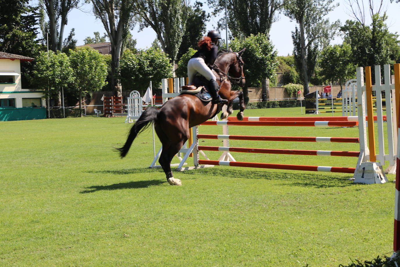 Concurso Nacional de Saltos en el Hípico de León