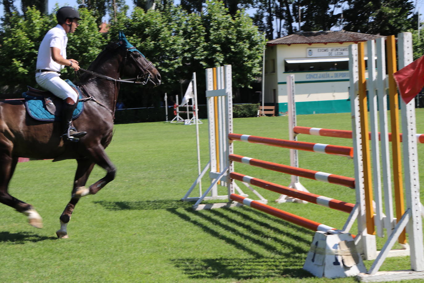 Concurso Nacional de Saltos en el Hípico de León