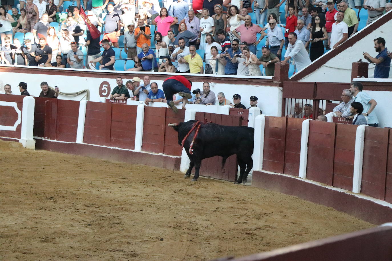 Corrida de rejones de San Juan y San Pedro