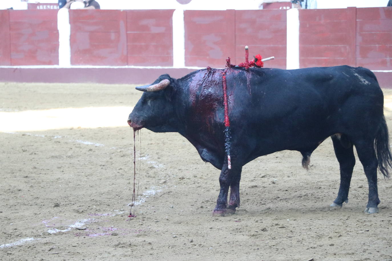 Corrida de rejones de San Juan y San Pedro