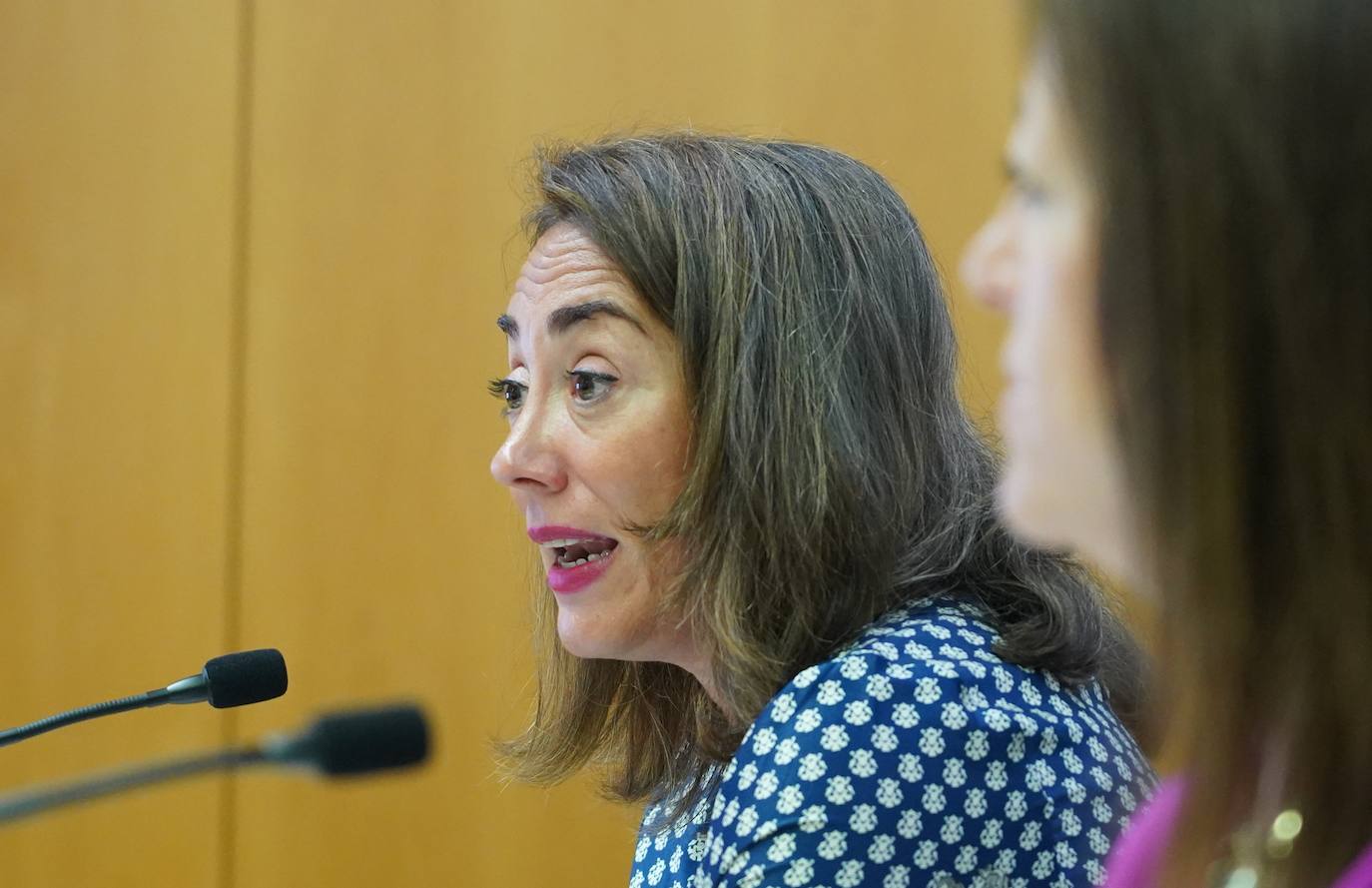 Presentación de los proyectos para el transporte de viajeros por carretera