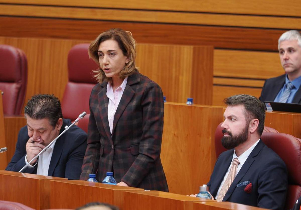 Imagen de Alicia Gallego, procuradora de UPL, en el pleno de las Cortes de este martes.