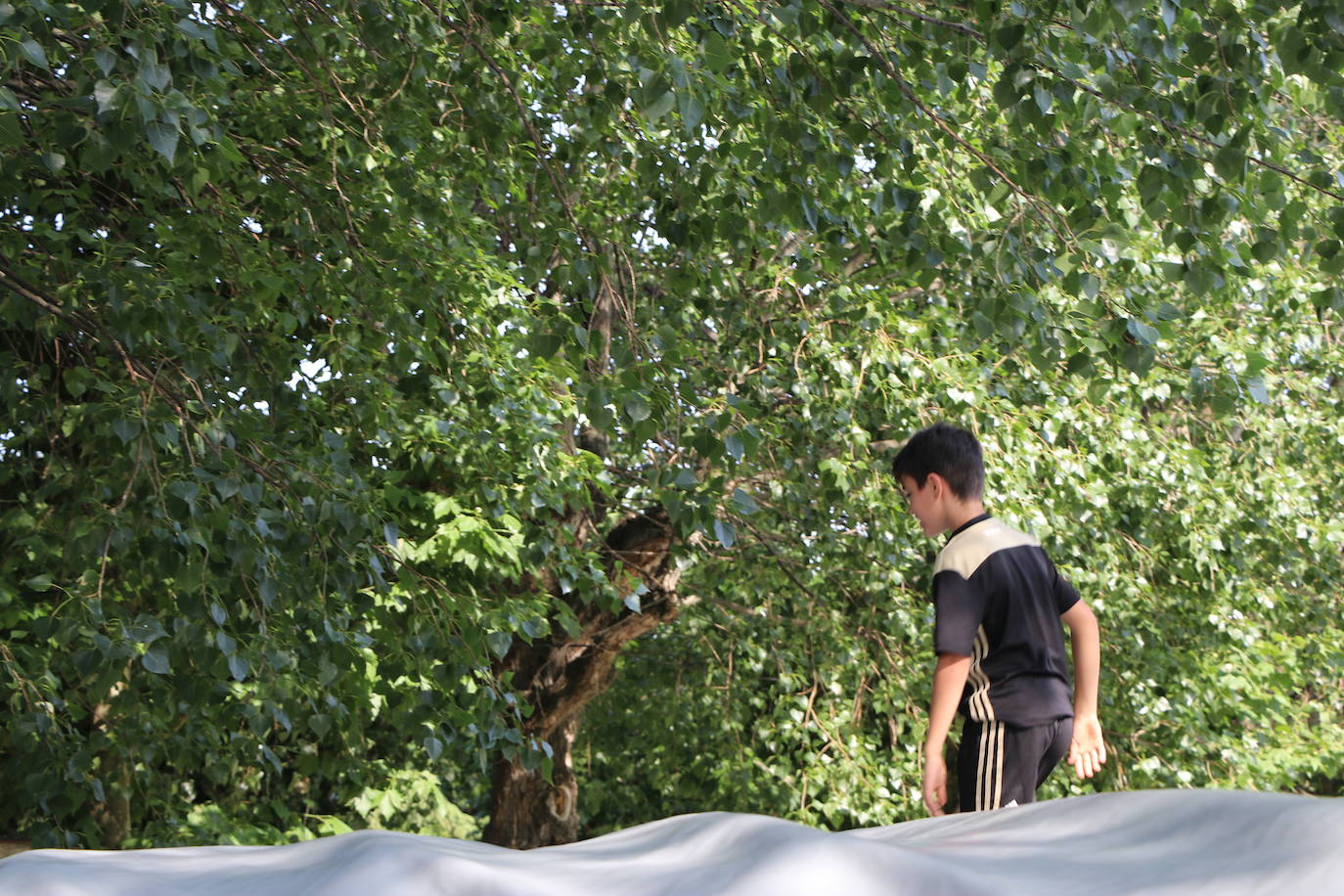 Diversión con el Kilómetro Aventura