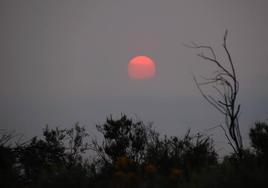 El sol, difuminado, tras una neblina que contenía partículas de humo llegadas desde Canadá.