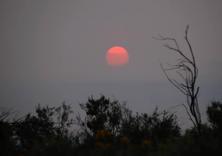 Imagen principal - Espectacular puesta de sol en León provocada por el humo de los incendios de Canadá.