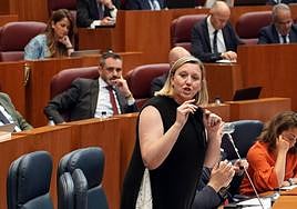 Isabel Blanco durante el pleno de las Cortes.