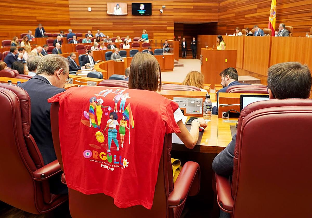 Apoyo al colectivo LGTBI de PSOE y Podemos desde el hemiciclo: «No nos ...