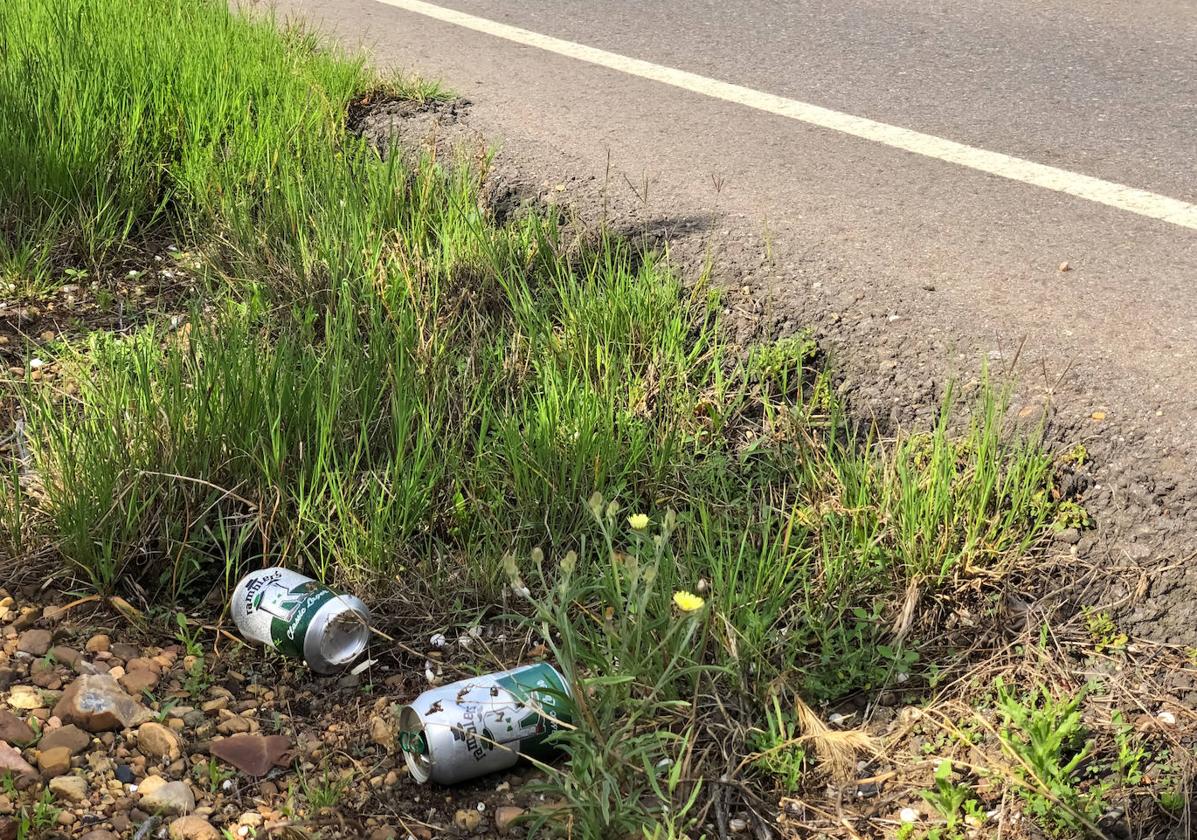 Estado que presentan algunas cunetas de carreteras de la provincia de León.