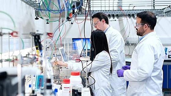 Impulso con 590.000 euros 11 proyectos innovadores de 6 clústeres que fortalecen la investigación