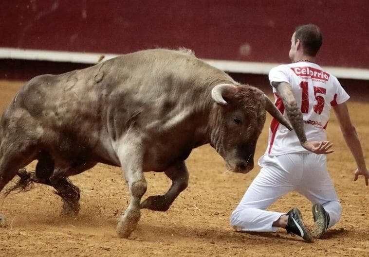 Imagen de un concurso de recortadores.