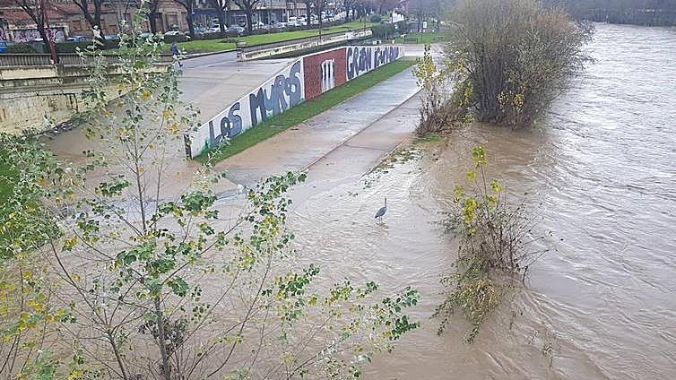 La CHD facilita una interacción directa en su web con las organizaciones profesionales agrarias
