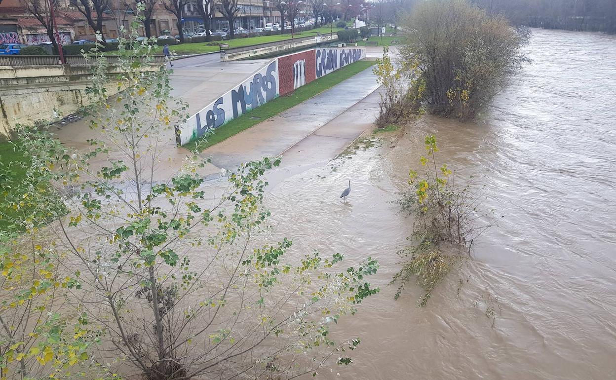 Vista del Bernesga a su paso por León.