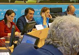 El consejero de Medio Ambiente, Vivienda y Ordenación del Territorio, Juan Carlos Suárez-Quiñones, en el Comité de las Regiones celebrado en Bruselas.