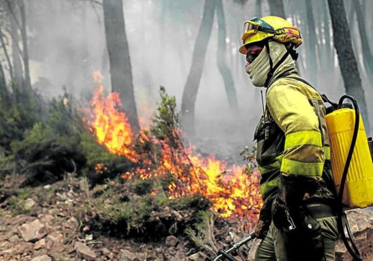 Las brigadas sofocan un incendio intencionado en Soto de la Vega