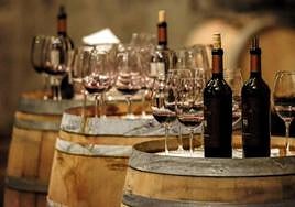 Industria vitivinícola en León.