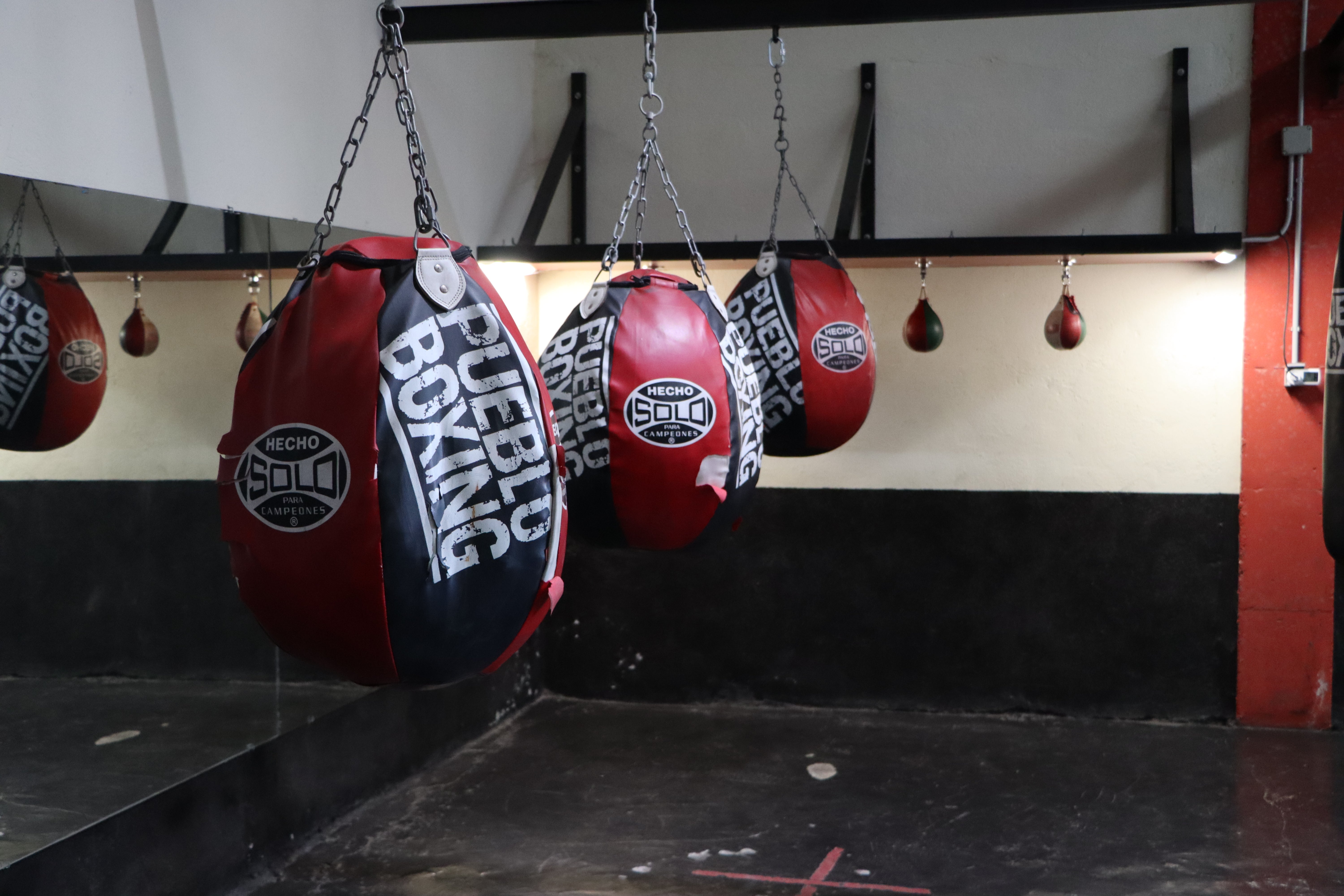 El boxeo se vive en León