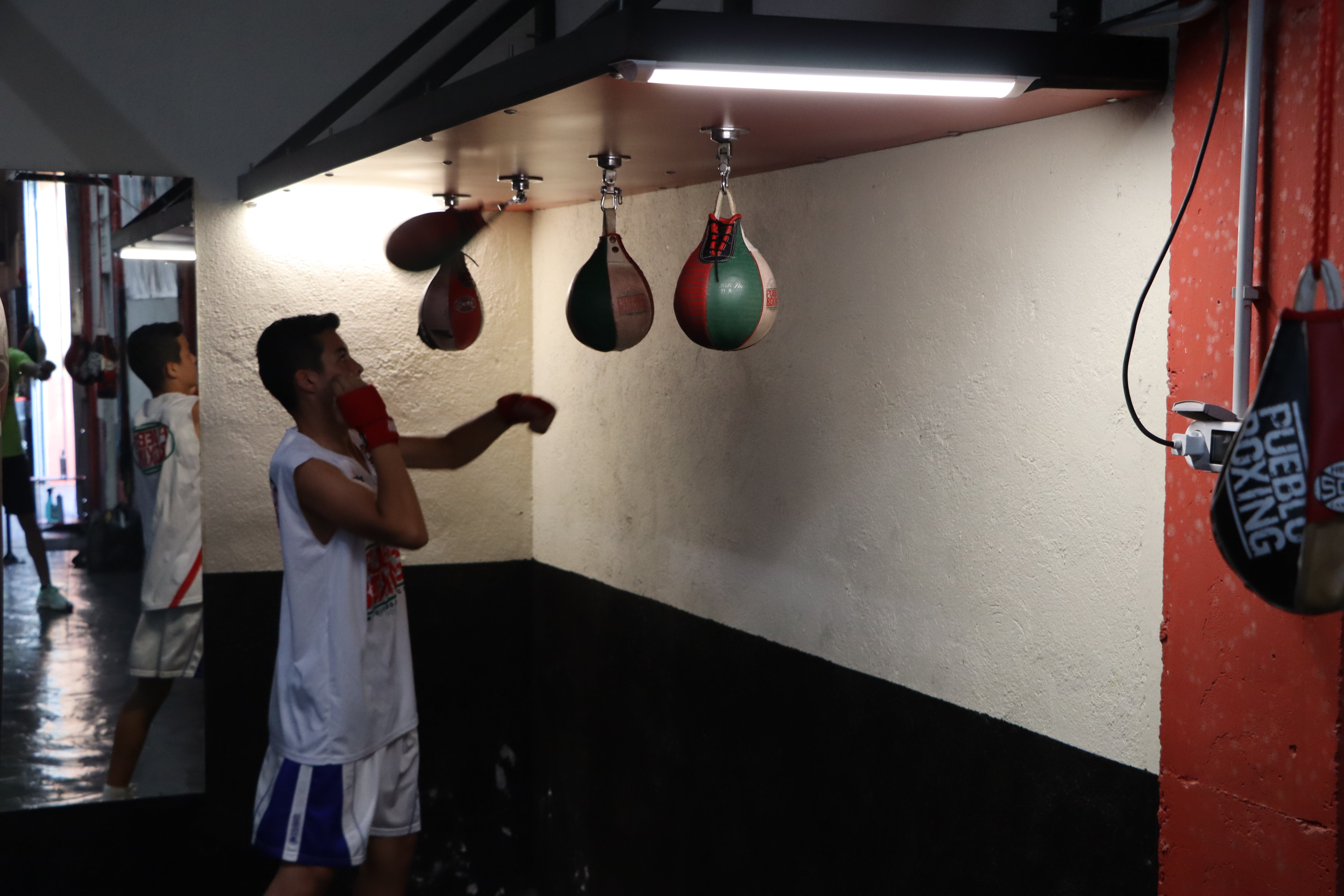 El boxeo se vive en León
