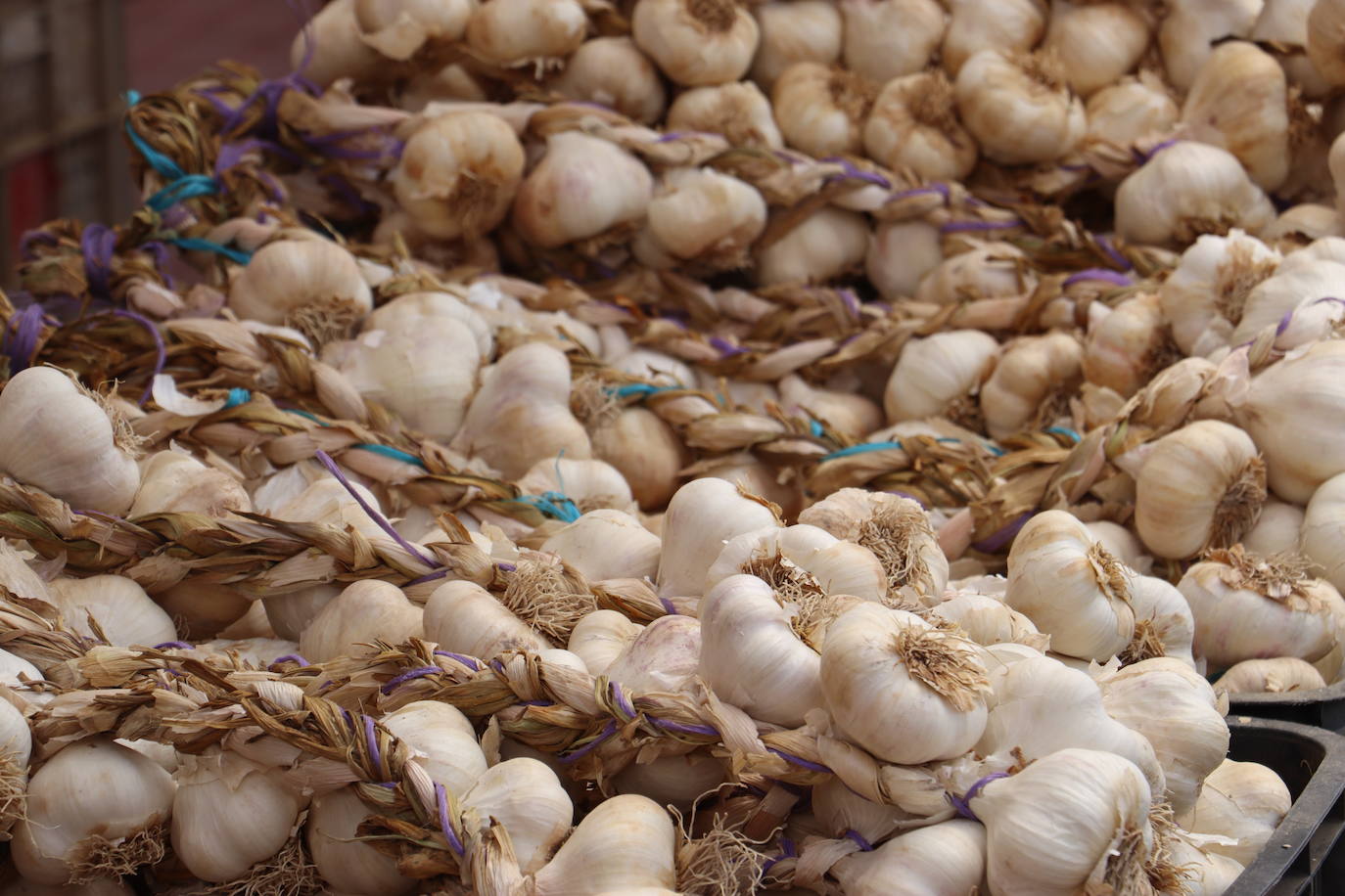 Feria del ajo en Veguellina de Órbigo