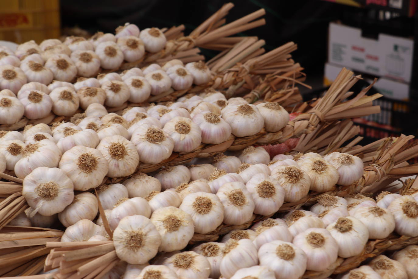 Feria del ajo en Veguellina de Órbigo