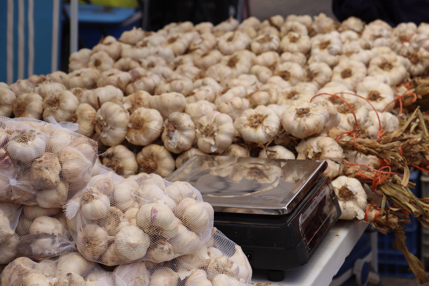 Feria del ajo en Veguellina de Órbigo