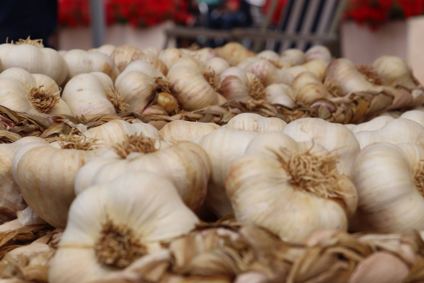 Feria del ajo en Veguellina de Órbigo