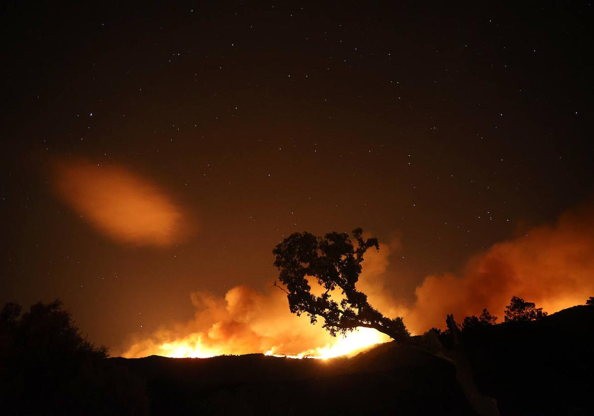 Incendio en Pinofranqueado (Cáceres)