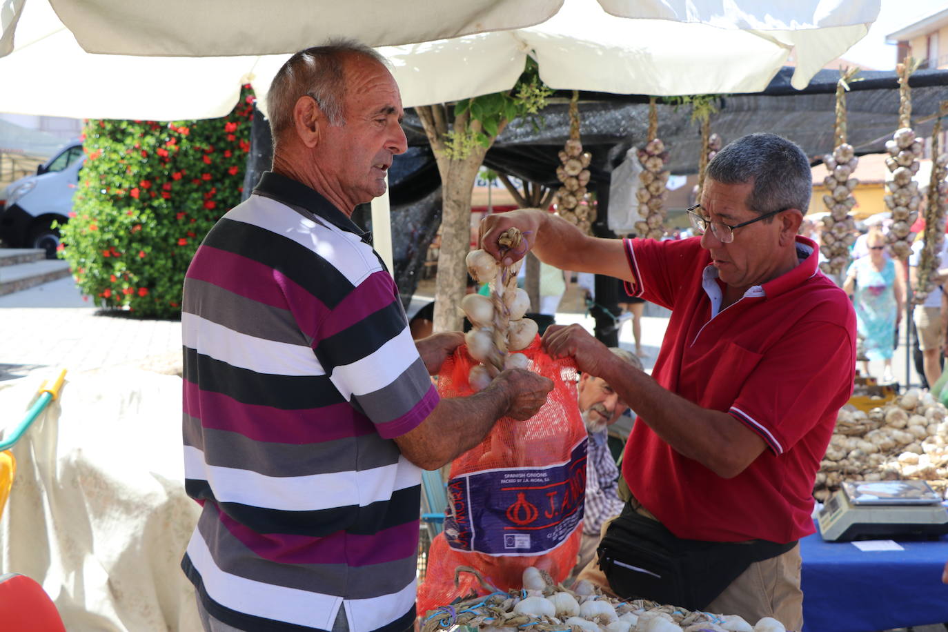 Feria del Ajo en Santa Marina del Rey