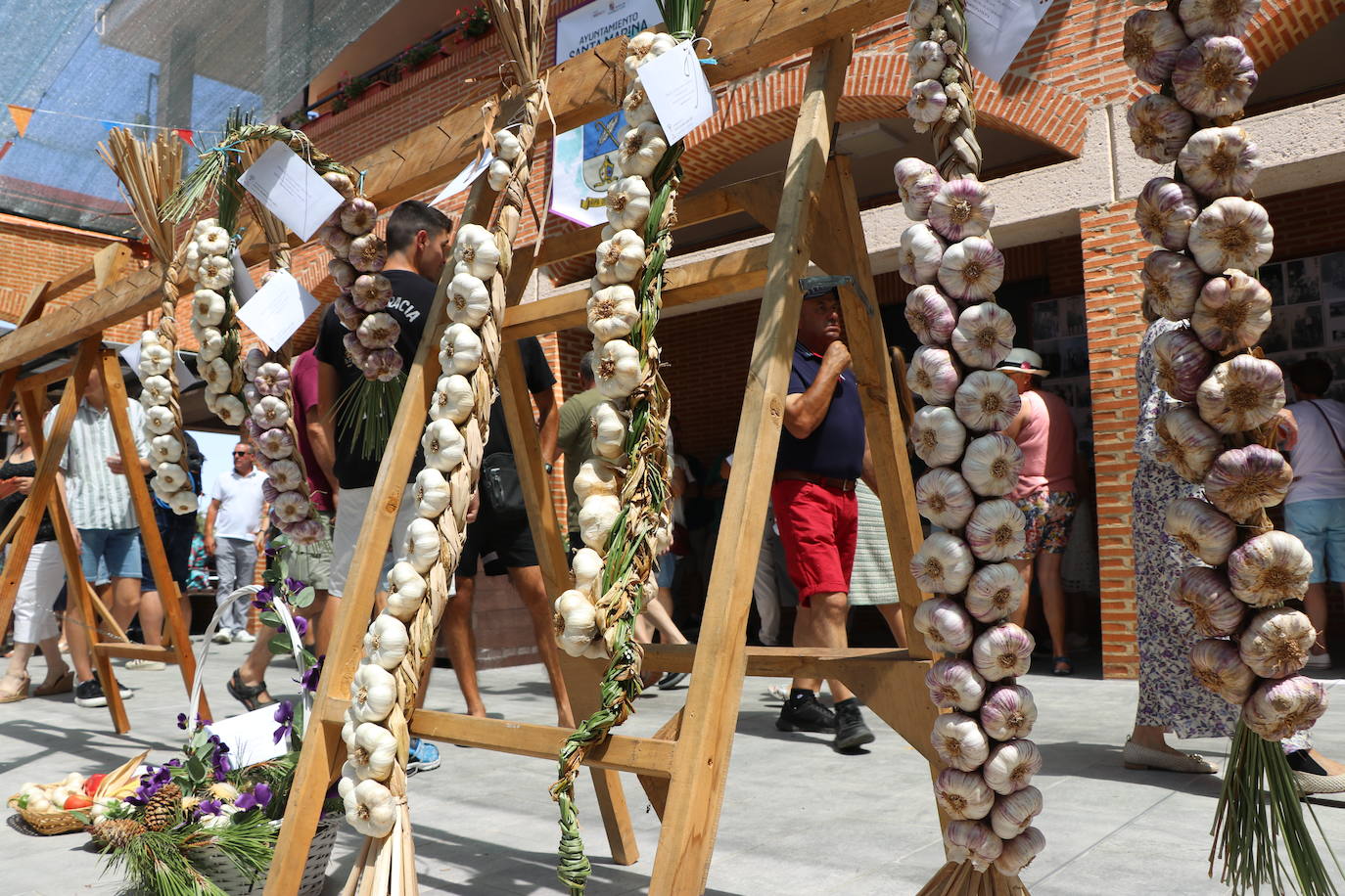 Feria del Ajo en Santa Marina del Rey