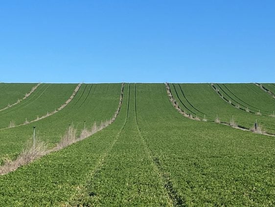 Asaja denuncia retrasos en la entrega de la propiedad de fincas