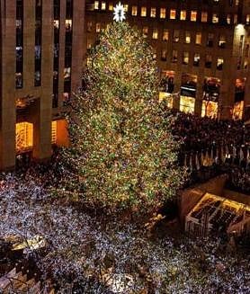 Imagen secundaria 2 - Acción de Gracias en Nueva York a un paso desde León