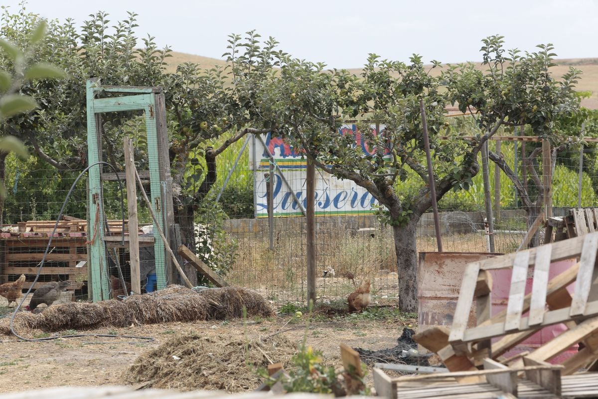 La Guardia Civil investiga el asesinato de una mujer en Reliegos