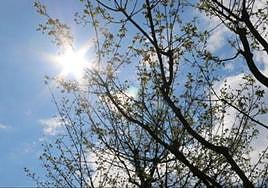 El tiempo en la provincia de León.