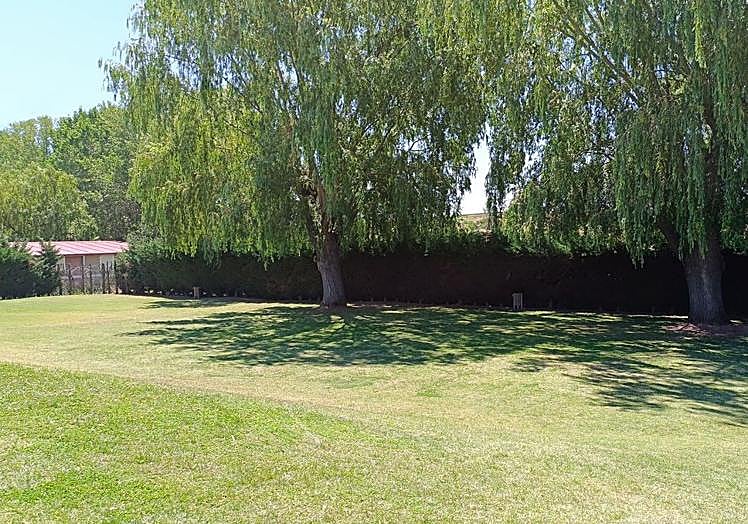 Imagen principal - El calor tiene remedio en Valdevimbre