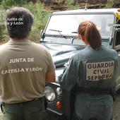 Investigan a un varón por un incendio forestal intencionado en Robledo de Caldas